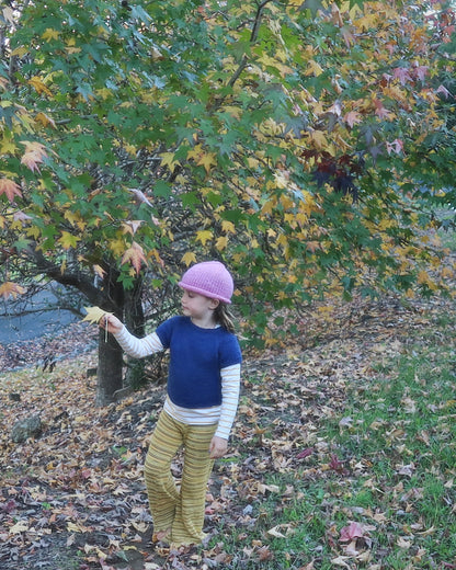 Beam Beanie Beginner Course + Kit -