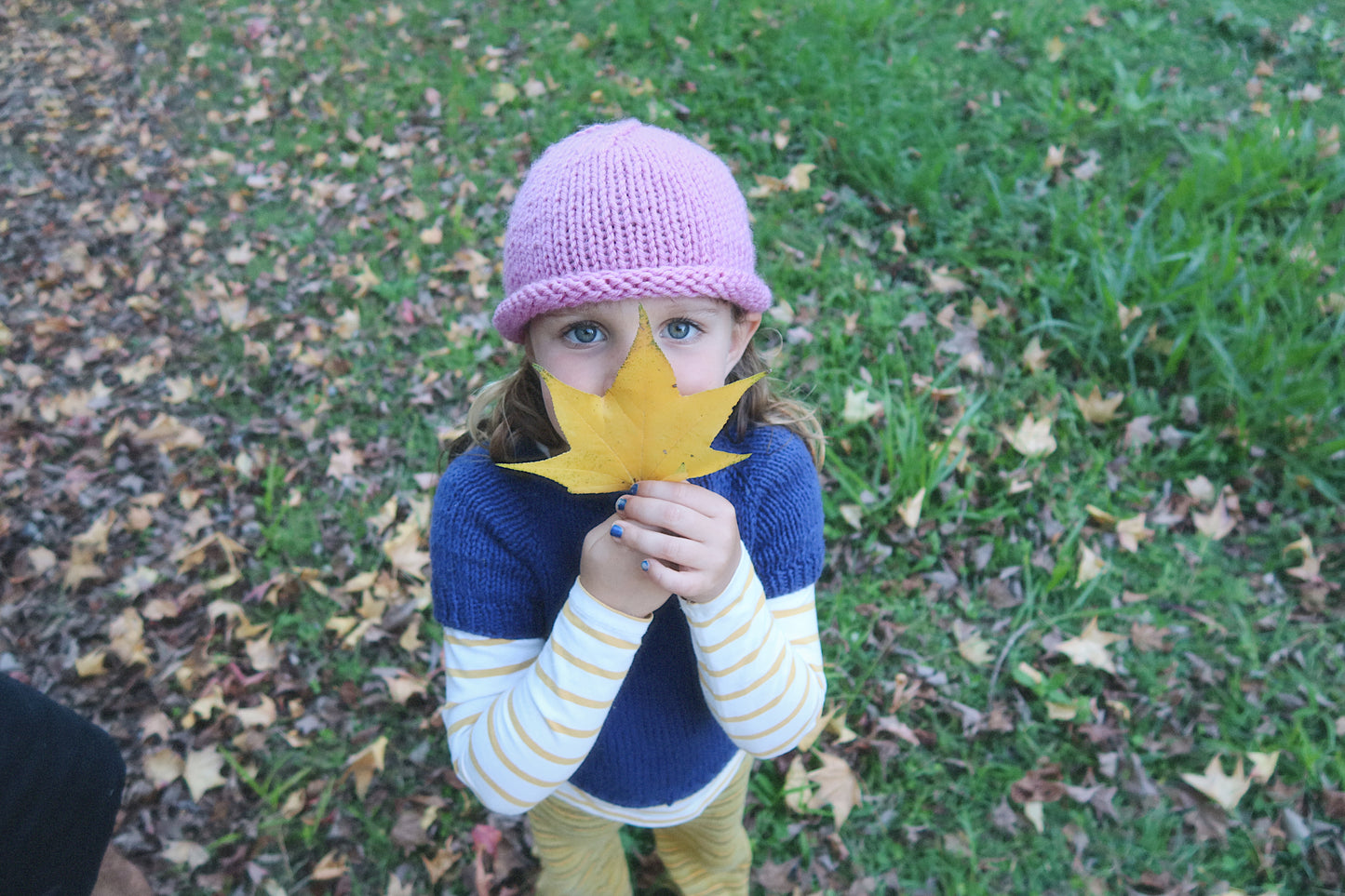 Beam Beanie Beginner Course + Kit -