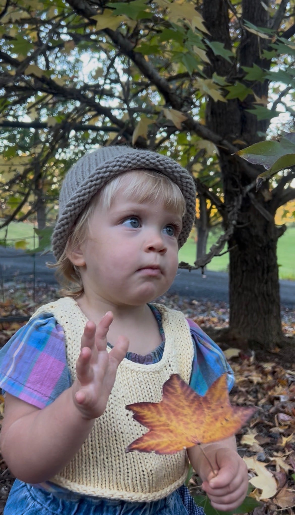 Beam Beanie Beginner Course + Kit -