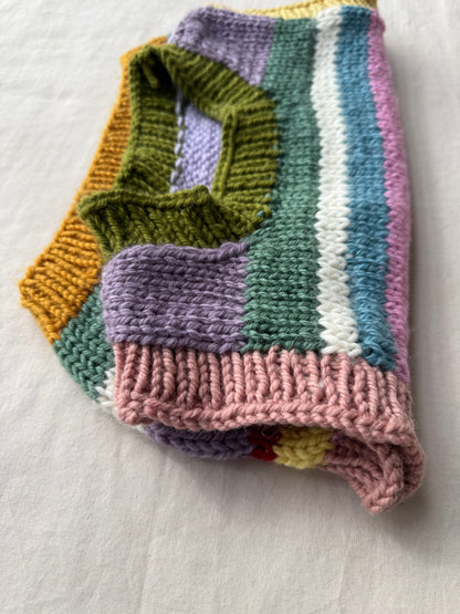 Embrace Vest - Rainbow Harvest (Size 4-5)